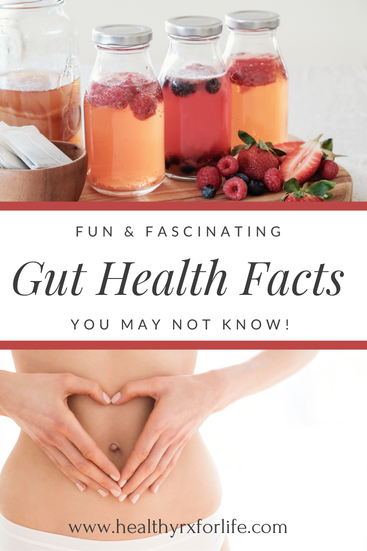 A Few Fun Facts About the Health of Your Gut - Healthy Rx for Life